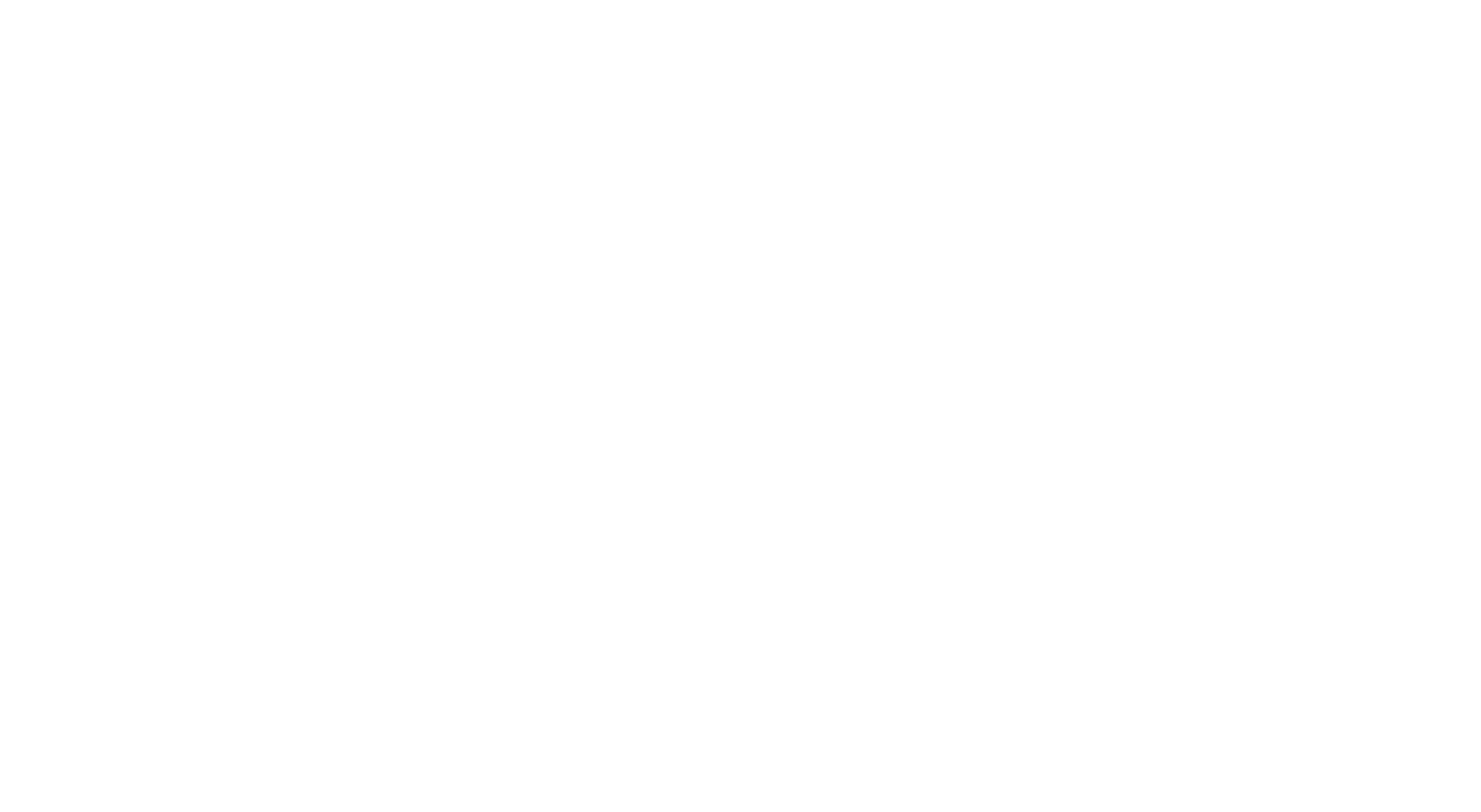 PrintRigidBox Logo White